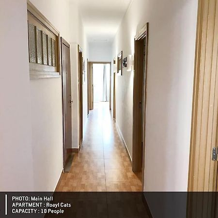Royal Cats Apartment Πόρτο Εξωτερικό φωτογραφία