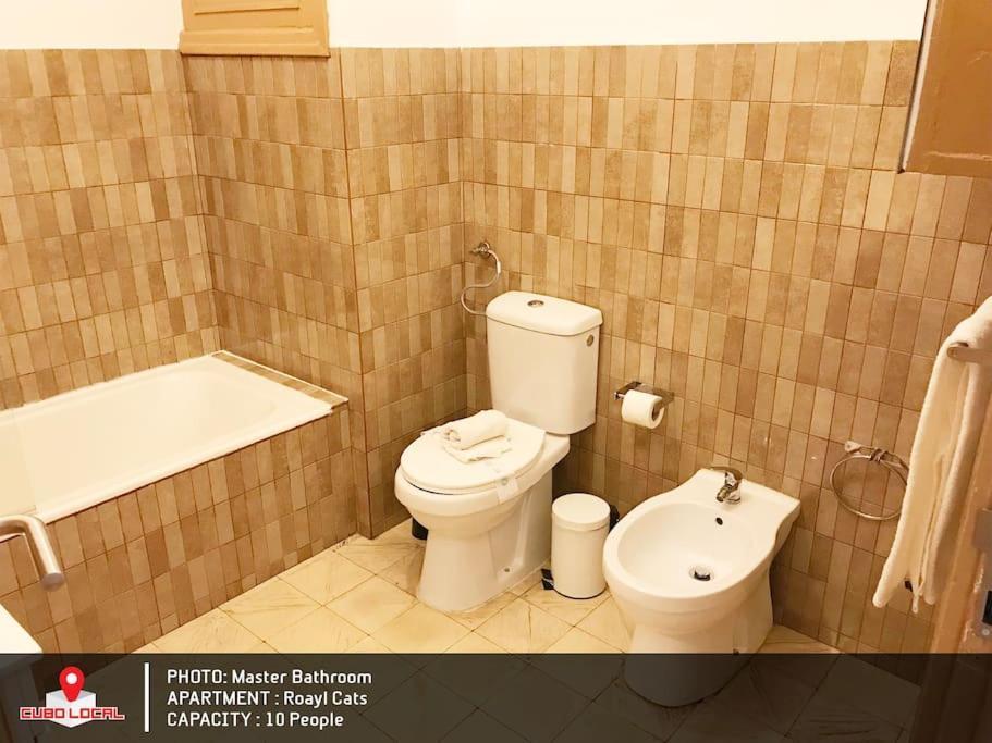 Royal Cats Apartment Πόρτο Εξωτερικό φωτογραφία